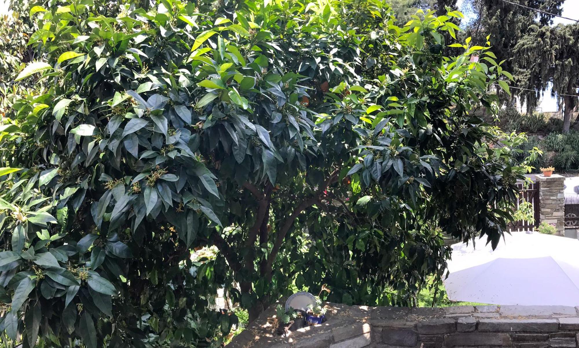 沃洛斯Mountain Breeze Sanctuary别墅 外观 照片